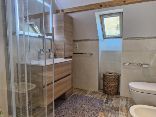 a bathroom with a shower and a toilet at Les hauts de LOUVIE in Louvie-Soubiron