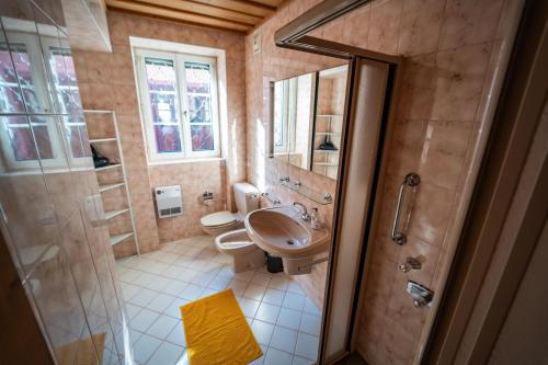 a bathroom with a sink and a toilet and a shower at Wohnen bei Schörgi in Grein