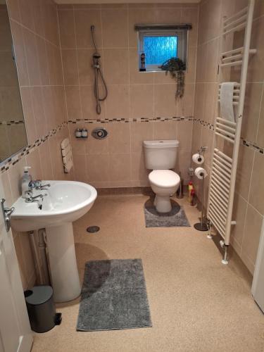 a bathroom with a sink and a toilet at The Cabin in Carbis Bay
