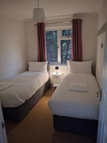 two beds in a small room with a window at The Cabin in Carbis Bay