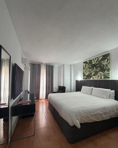 a bedroom with a large bed and a television at Hotel Carlos III in Águilas