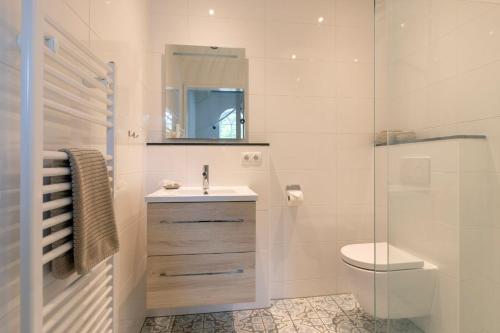a bathroom with a toilet and a sink and a shower at Hoeve Koning Willem III in Frederiksoord