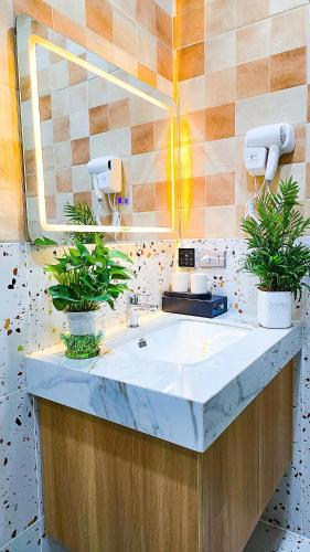 a bathroom with a sink with two potted plants at Ha Anh Villa Ninh Binh in Ninh Binh