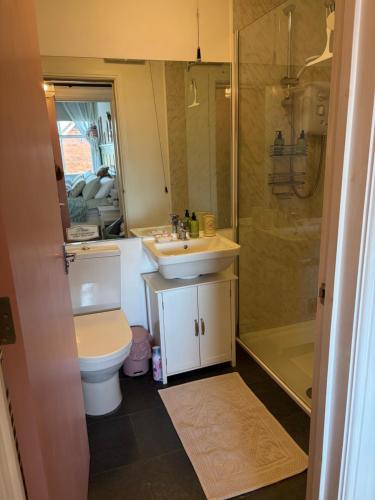 a bathroom with a toilet and a sink and a shower at The Cwtch in Ludlow