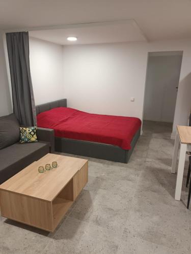 a room with a bed and a couch and a table at Kawalerka Perzycka in Poznań