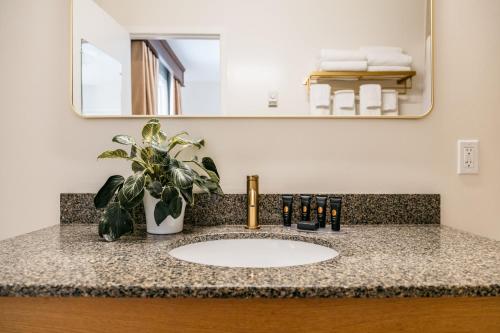 Foto de la galeria de Aurora Inn a Kingston