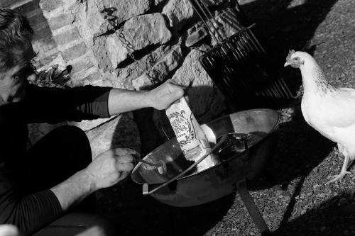 a man is feeding a chicken in a bowl at El Llano de los Conejos Serranía de Cuenca in Cañamares