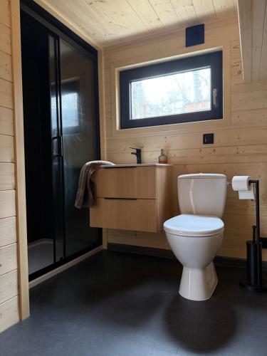 a bathroom with a toilet and a sink and a shower at Pomiedzy debami - domki in Emilia