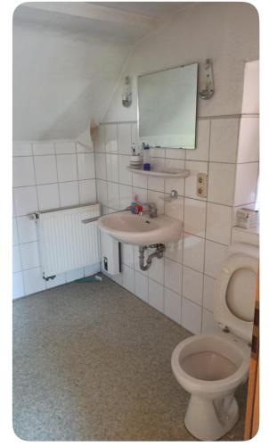 ein Badezimmer mit Toilette und Waschbecken in der Unterkunft MaVelo in Düren - Eifel
