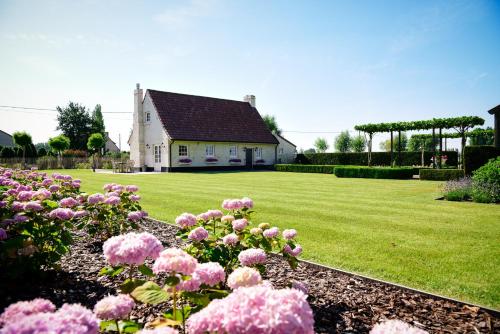 una casa con fiori rosa davanti a un cortile di Cottage Nostalgia a Damme