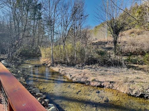 a river with a bridge in a field with trees at Caney Creek in Jenkins Mill