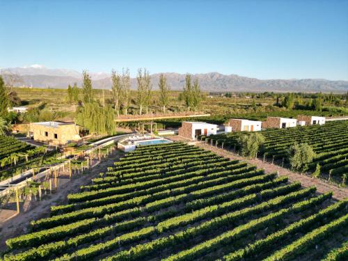 Gallery image of Rincon del Malbec 2 in Ciudad Lujan de Cuyo