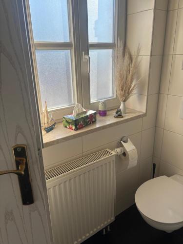 a bathroom with a toilet and a window at Ferienwohnung Müritz-Blick in Waren