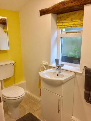a bathroom with a sink and a toilet and a window at The Studio Gressingham in Hornby