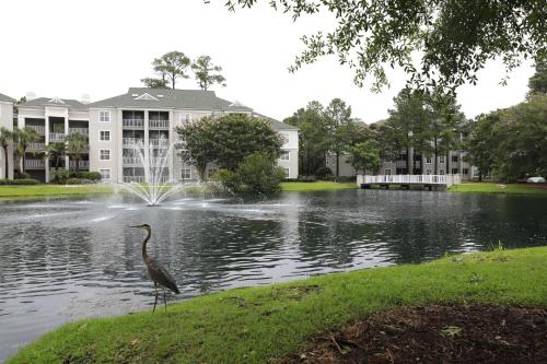 a bird standing in front of a pond with a fountain at Unit at the Sheraton Broadway Plantation in Myrtle Beach