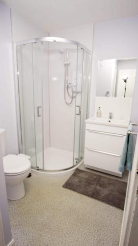 a bathroom with a shower and a toilet and a sink at Cosy flat in Inverness