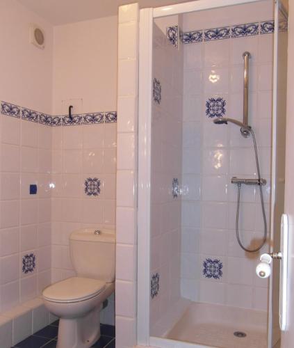 a bathroom with a toilet and a shower at Les Devants De Rupuanne in Bréhémont