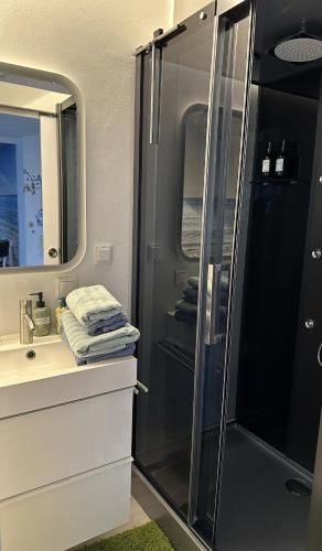 a bathroom with a shower and a sink at Ruhe Oase am Riesrand in Unterschneidheim