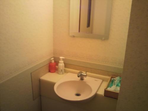 a bathroom with a white sink and a mirror at Lodge Ueno Ski in Nozawa Onsen