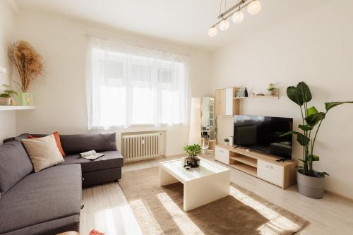BNB City comfort home