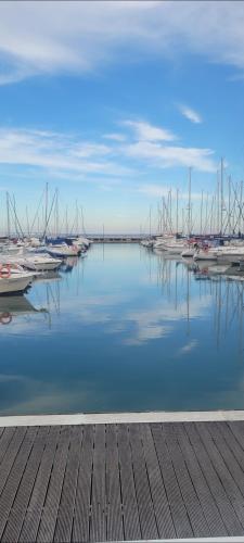 a bunch of boats are docked in the water at Veleiro Cozy Vintage in Lisbon