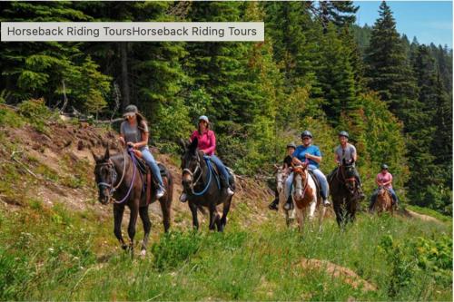 a group of people riding horses in a field at Genesis Mountain Farm in Sandpoint