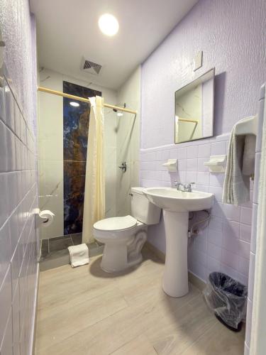 a bathroom with a toilet and a sink and a shower at Vanguard Motel in Ormond Beach