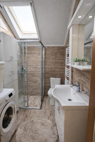 a bathroom with a shower toilet and a sink at Sunrise Riverside House-Private Garden, Jacuzzi & BBQ in Čelarevo