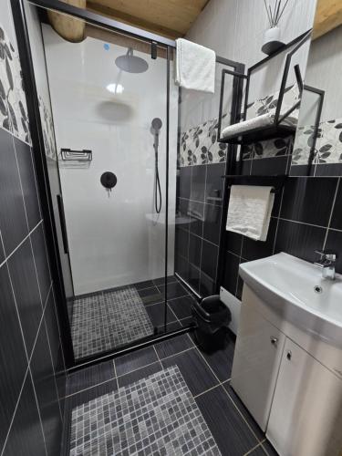 a bathroom with a shower and a sink at Vila Noruciai in Šašeliai
