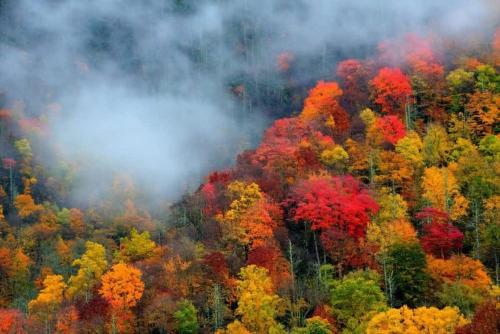 Saddleback Retreat by Beyond Expectations photo 40