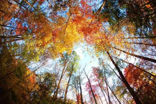 Saddleback Retreat by Beyond Expectations photo 42