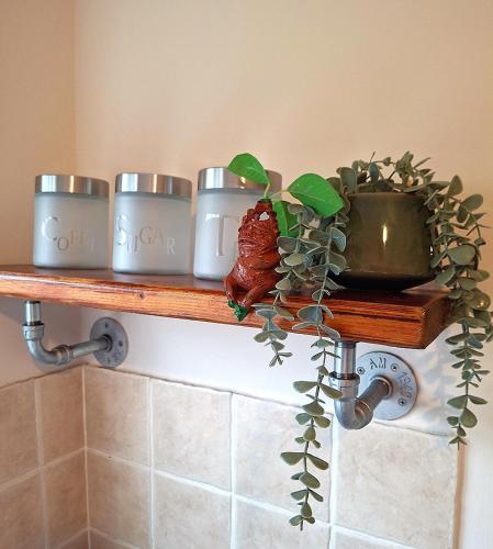 a wooden shelf with a plant on top of it at Rooms of Requirement in Watford