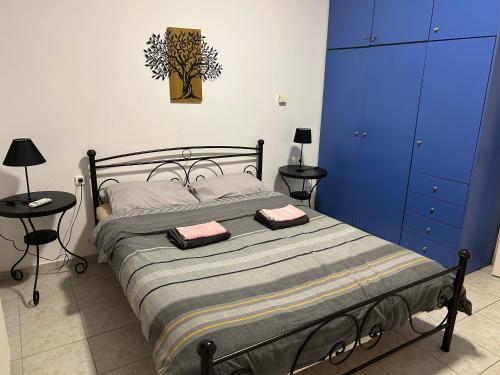 Beautiful House 15 min near airport