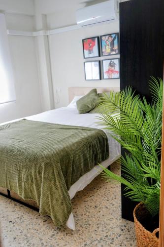 a bedroom with a bed and a potted plant at Casa Belice Huelva in Huelva