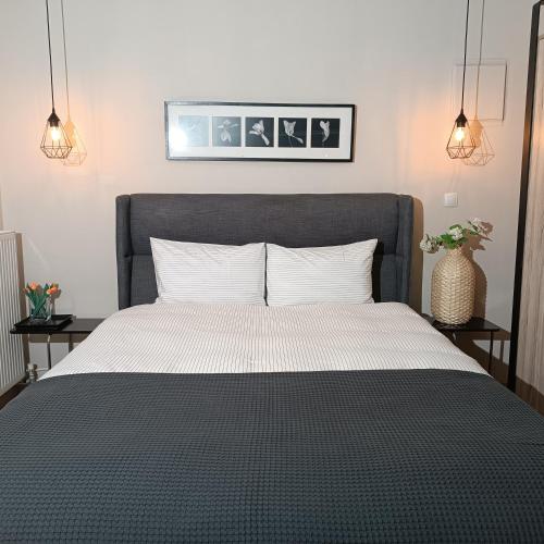Pilea Luxury Apartments 1