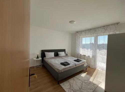 a bedroom with a bed and a window at Ferienwohnung in Bad Honnef in Bad Honnef am Rhein
