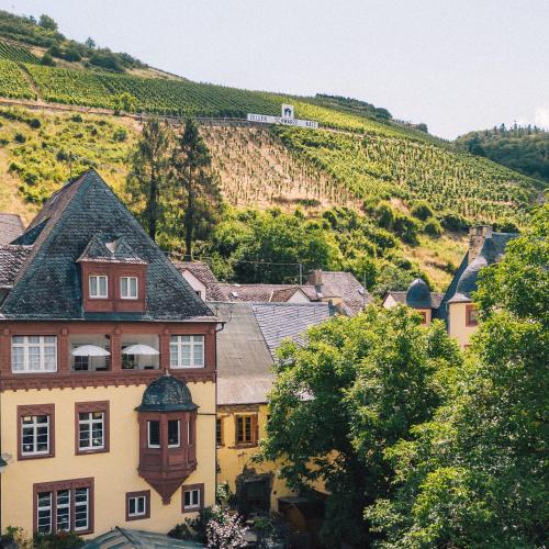 a house in a village with a hill with vineyards at Haus Till E in Zell an der Mosel