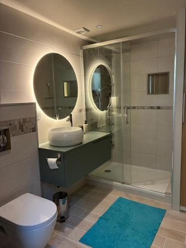 a bathroom with a shower and a toilet and a sink at Loft Cocooning et Lumineux in Arbois
