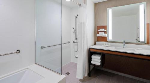 a bathroom with a shower and a sink and a mirror at Hilton Garden Inn Chicago McCormick Place in Chicago