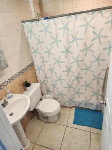 a bathroom with a toilet and a sink and a shower curtain at Costa Azul Apartment in Punta Santiago