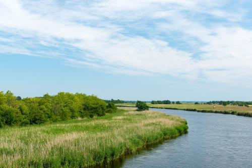a river with grass and trees on the side at Ferienhotel Alter Bahnhof garni in Prerow