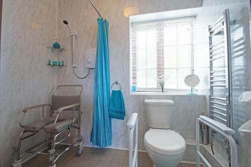 a bathroom with a toilet and a shower and a window at Bodhyfryd in Llanfairpwllgwyngyll