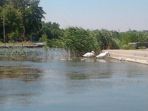 Φυσικό τοπίο κοντά σε αυτή η παραθεριστική κατοικία
