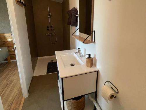 a bathroom with a white sink and a shower at Chez Fab in Ferrières-lès-Ray