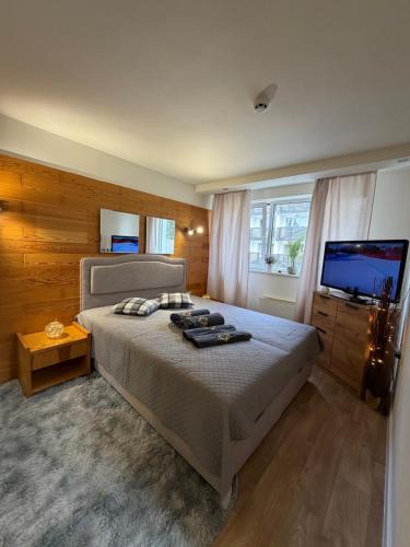 a bedroom with a bed and a flat screen tv at Chamkoria Forest apartment in Borovets