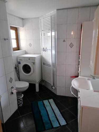 a bathroom with a toilet sink and a washing machine at Die kleine Feine in Olmscheid