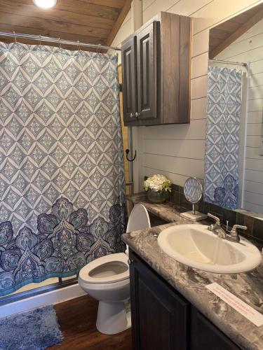 a bathroom with a toilet and a sink at Hot Tub Firepit Dreams Streamside Hochatown in Broken Bow