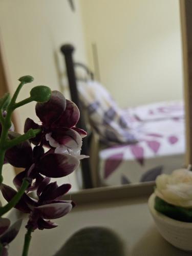 Gina 's Cozy nest in Mytilene