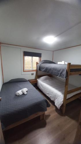 a room with two bunk beds and a ladder at Cabañas 2 Aliwen Lonquimay in Lonquimay