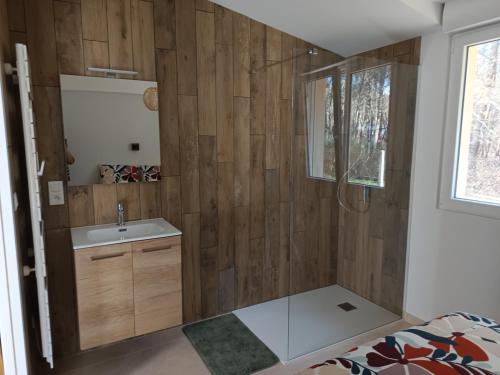 a bathroom with a shower and a sink at Appartement Marilou in Pompiey